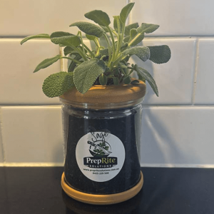 Sage Living Herb Pot