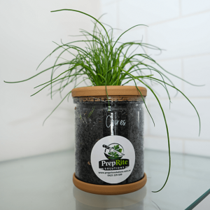 Chives Living Herb Pot